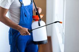 Best Fumigation Services  in Wood Dale, IL